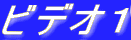 rfIP